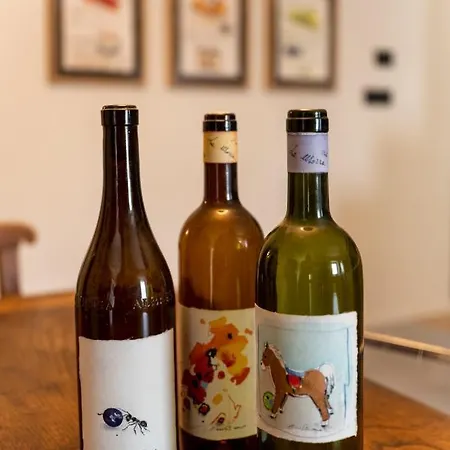 Casa Del Maestro-appartamenti D'arte ドリアーニ